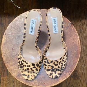 Steve Madden Leopard 🐆 Print “Erin” mule heel